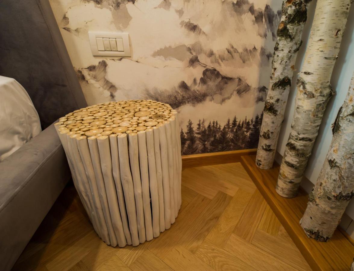 Zen Alpin Studio Apartment บราชอฟ ภายนอก รูปภาพ